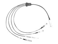 Cisco Direct-Attach Breakout Cable - Câble réseau - QSFP+ (M) pour SFP+ (M) - 2 m - SFF-8431/SFF-8436/SFF-8461 - passif - brun - pour P/N: N9K-C93180YC-FX3, N9K-C9336C-FX2-E, NC55-MPA-4H-HX-S=, NC57-24X400G-BA=, UCS-FI-64108 QSFP-4SFP10G-CU2M=