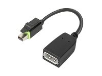 Lenovo - Adaptateur DisplayPort - Mini DisplayPort (M) pour DisplayPort (F) - pour ThinkCentre M75t Gen 2; ThinkStation P320; P330; P330 Gen 2; P348; P520; P620; P720; P920 4X90Q93975