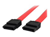 StarTech.com Câble SATA de 60 cm - Cordon Serial ATA en rouge - Câble SATA - Serial ATA 150 - SATA (F) pour SATA (F) - 0.6 m - rouge - pour P/N: 10P6G-PCIE-SATA-CARD, 2P6G-PCIE-SATA-CARD, 4P6G-PCIE-SATA-CARD, 6P6G-PCIE-SATA-CARD SATA24