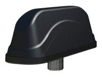 Panorama LGAM-7-27-24-58 - Antenne - navigation, cellulaire, Wi-Fi - 5 dBi - omni-directionnel - montable sur panneau LGAM-7-27-24-58-1S