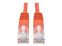 Tripp Lite 14ft Cat5e / Cat5 350MHz Molded Patch Cable RJ45 M/M Orange 14' - Cordon de raccordement - RJ-45 (M) pour RJ-45 (M) - 4.27 m - UTP - CAT 5e - moulé, bloqué - orange N002-014-OR