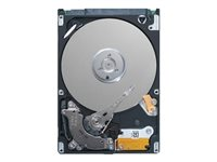 Dell - Disque dur - 6 To - interne - 3.5" - SAS 12Gb/s - 7200 tours/min - pour PowerEdge R220, T110 II, T130, T430; PowerEdge R230, R330, R430 400-ALDU