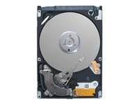 Dell - Kit client - disque dur - chiffré - 2.4 To - échangeable à chaud - 2.5" - SAS 12Gb/s - 10000 tours/min - FIPS 140-2 - Self-Encrypting Drive (SED) - pour PowerEdge T430 (2.5") 400-AVBO