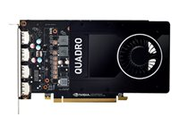 NVIDIA Quadro P2200 - Kit client - carte graphique - Quadro P2200 - 5 Go - 4 x DisplayPort 490-BFPN