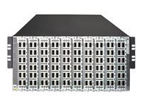 HPE FlexFabric 7910 Switch Chassis - Commutateur - C3 - Géré - Montable sur rack JG841A