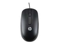 HP - Souris - optique - filaire - PS/2 - pour HP Z1 G8; Desktop Pro 300 G6; EliteDesk 800 G8, 805 G6; ProDesk 405 G6; Workstation Z2 G8 QY775AA