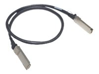 HPE X240 - Câble d'attache directe 40GBase - QSFP+ (M) pour QSFP+ (M) - 1 m - twinaxial - pour FlexFabric 5940 2-slot, 5940 32QSFP+, 5940 48SFP+, 5940 48XGT, 5940 4-slot JH697A