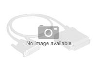 Lenovo - Kit de câbles de stockage - pour ThinkSystem SR650 V2 7D15, 7Z72, 7Z73; SR665 7D2V, 7D2W 4X97A80440